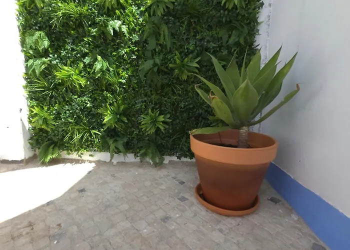 Casinhas Da Ajuda Nº 9-1 * Lisboa