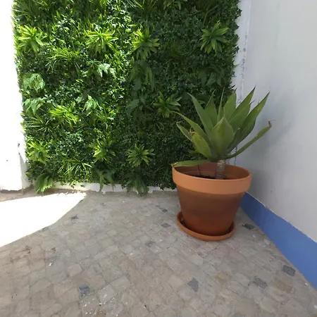 Casinhas Da Ajuda Nº 9-1 * Lisboa